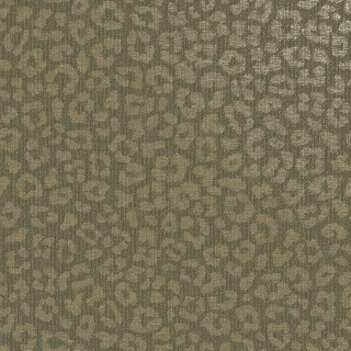 Колекція Essence, 66303