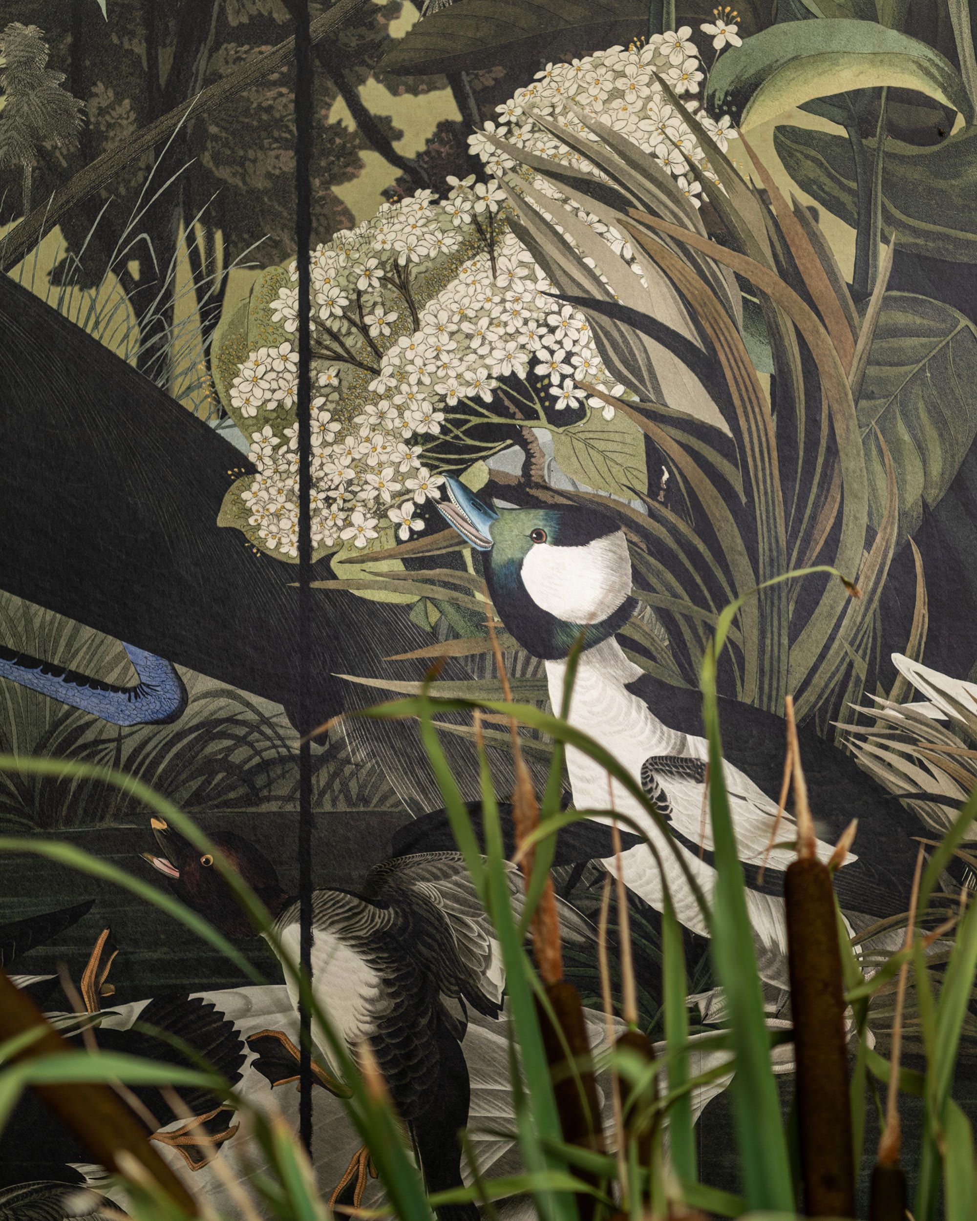 Колекція The Wetlands, WP20719