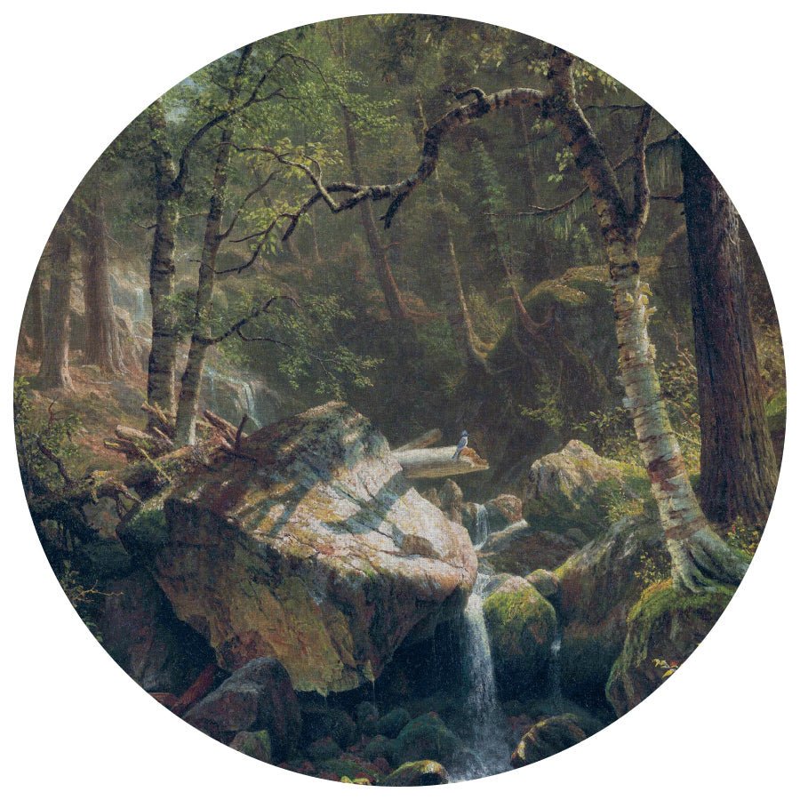 Колекція Painted Memories 2, 8085C