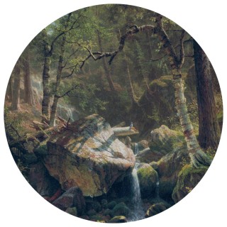 Колекція Painted Memories 2, 8085C