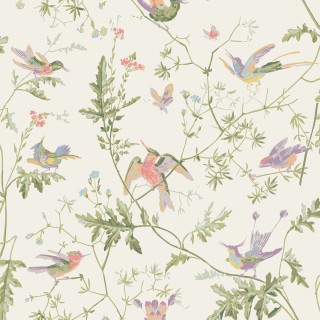 Коллекция Selection of Hummingbirds, 100/14067