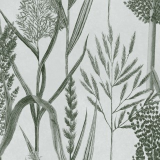 Колекція The Wetlands, WP30165
