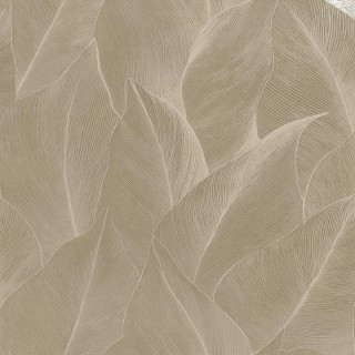 Колекція Essence, 66321
