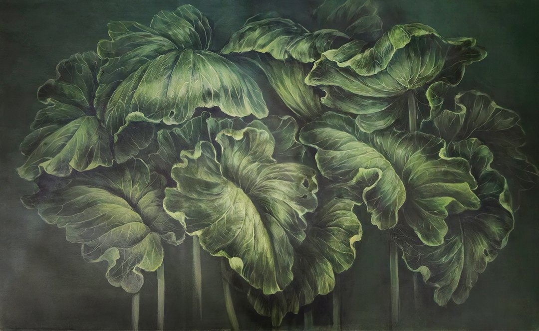 Колекція Anna Klovak, Lophea