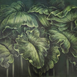 Колекція Anna Klovak, Lophea