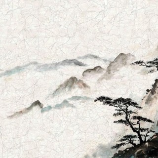 Колекція Lava, 46995