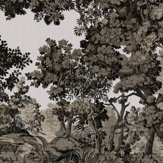 Коллекция ArboretumG, 128571