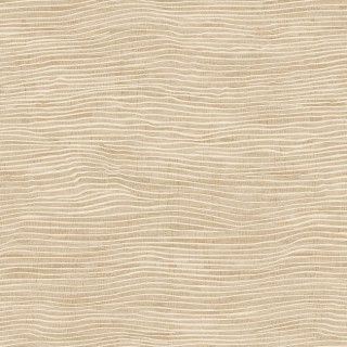 Колекція Ray, RAY104