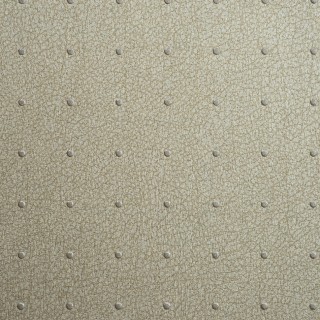 Колекція Ted Baker, 14058W9978003