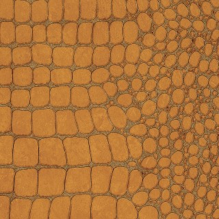 Колекція Vinyl Crocodile Rock, 10850