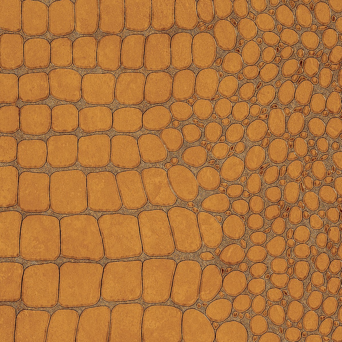 Колекція Vinyl Crocodile Rock, 10850