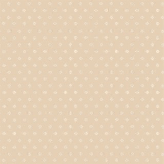 Колекція Archive Anthology 100/7034