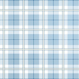 Колекція Stripes and Checks, T44075