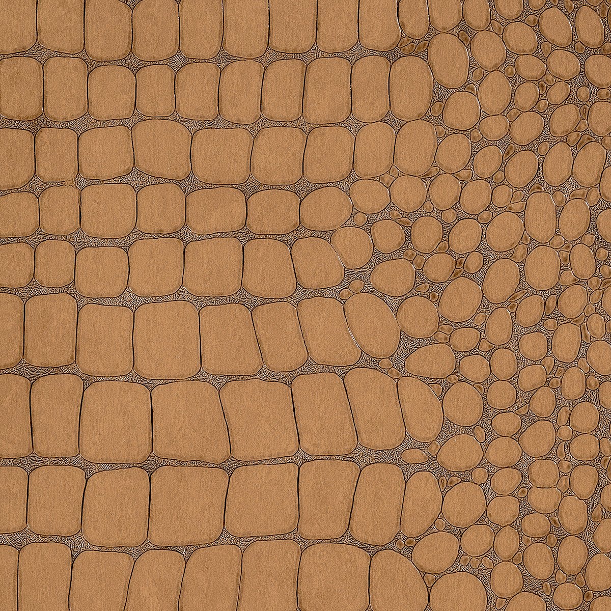 Колекція Vinyl Crocodile Rock, 10849