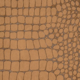 Колекція Vinyl Crocodile Rock, 10849