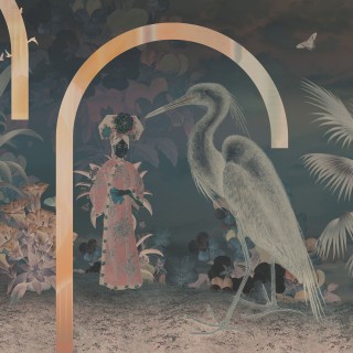 Колекція Dusk, MU14066