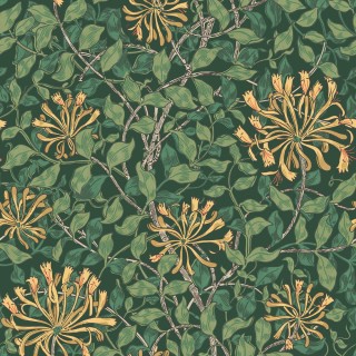 Колекція William Morris At Home V2, 140487