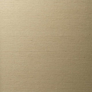 Колекція Ted Baker, 14011W7507205