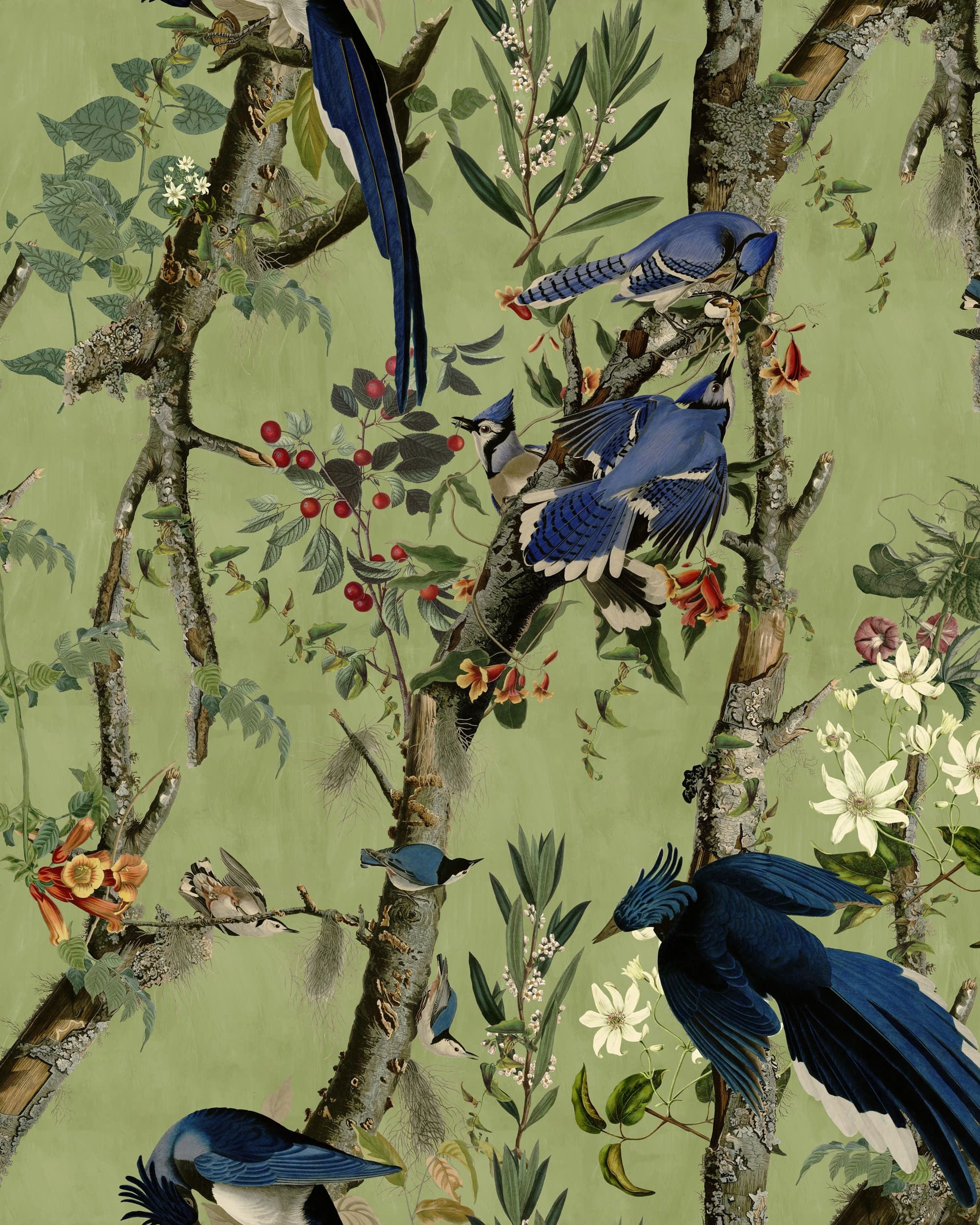 Колекція The Wetlands, WP20715