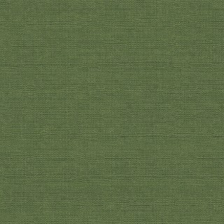 Колекція The Colour Book II, FOL904