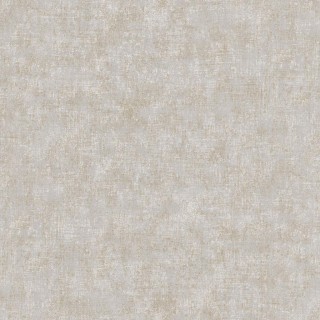 Колекція Online, ON505