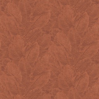 Колекція Havana, HAV301