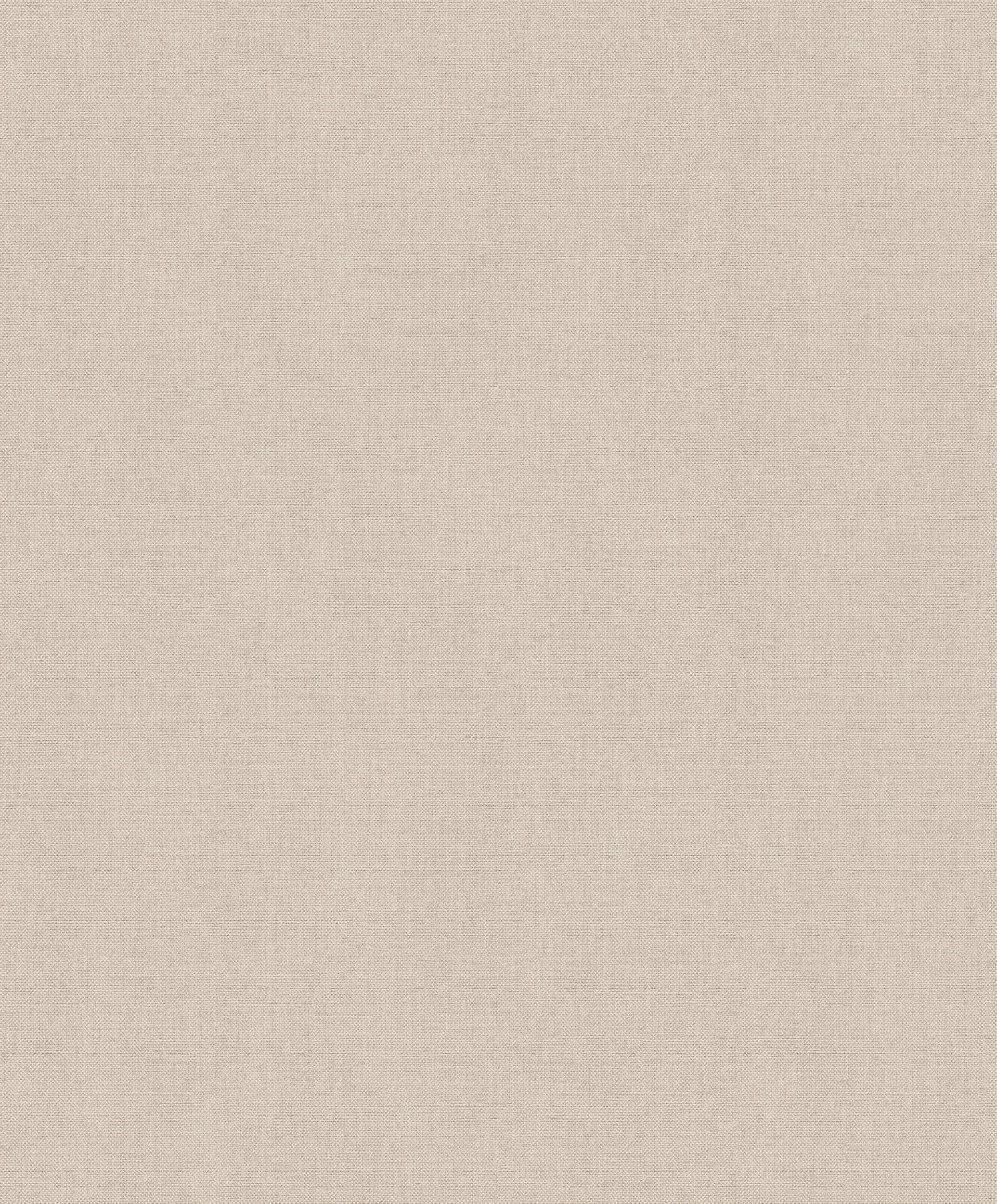 КолекціяPalette, B00005