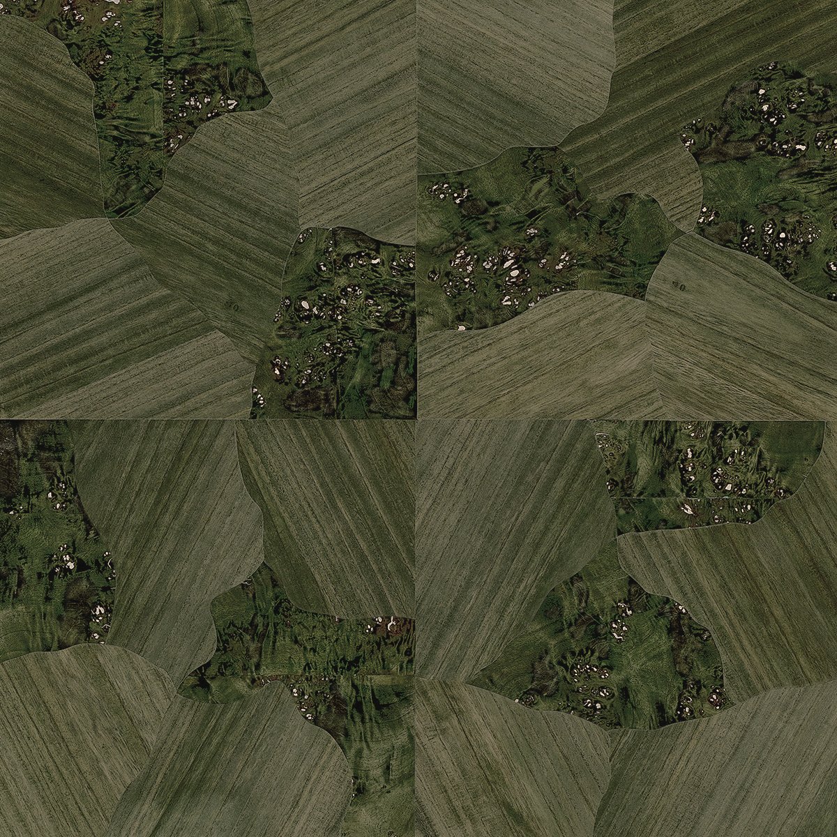Коллекция Pawleys Parquet, 37703