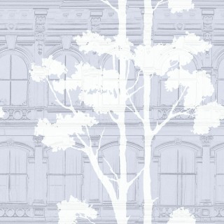 Колекція Transition, fj31508