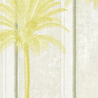 Колекція Havana, DGHAV1021