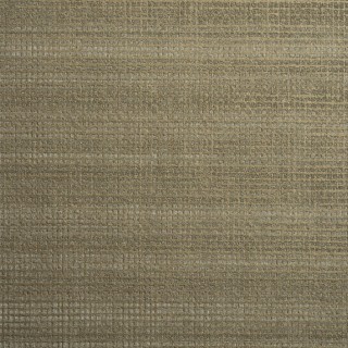 Колекція Ted Baker, 14057W9978409