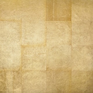 Колекція DaVinci, GV228