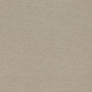 Колекція Jolly, 970647