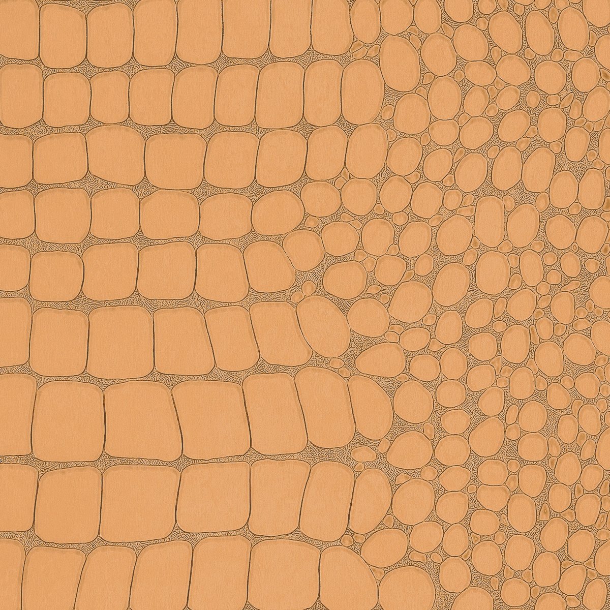 Колекція Vinyl Crocodile Rock, 10848