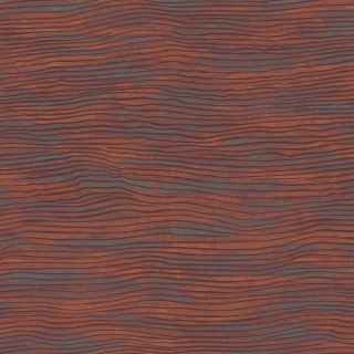 Колекція Ray, RAY101