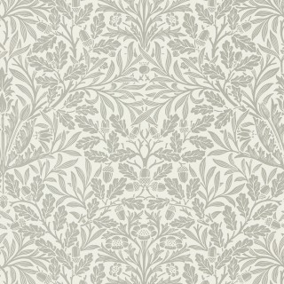 Колекція Pure Morris, DMPU216042