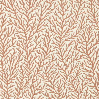 Колекція Colour, HTEW112768