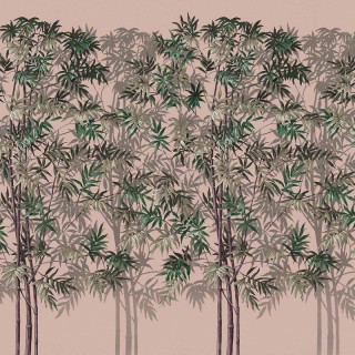 Коллекция  Aracne, A00302