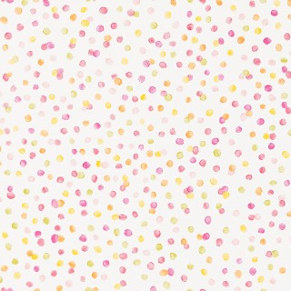 Колекція Guess Who, NSCK111284