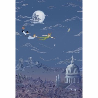 Колекція Disney Home, DDIW217293