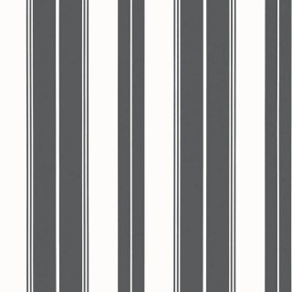 Колекція Stripes and Checks, T44050