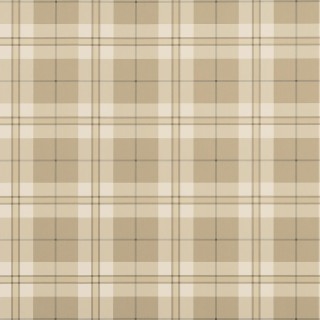 Колекція Stripes and Checks, T44073