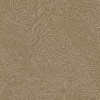 Колекція Thom, TH9902