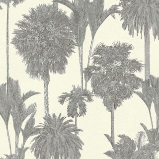 Колекція Oasis, 317326