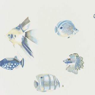 Коллекция Anthozoa, HANZ111649