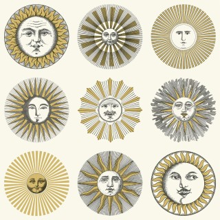 Коллекция Fornasetti Senza Tempo II, 123/1002