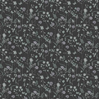 Коллекция  Amazone, ZON101