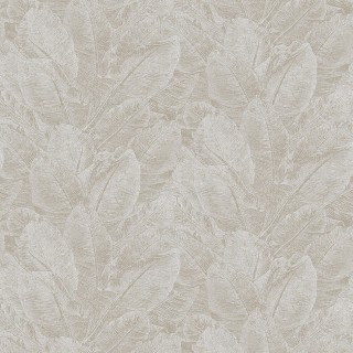 Колекція Havana, HAV303