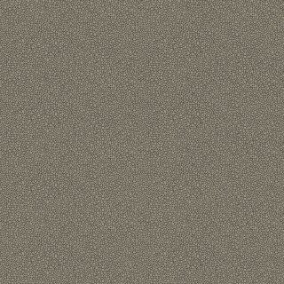 Колекція Curio, 107/9043
