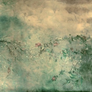 Колекція Random Chinoiseries, A00337b